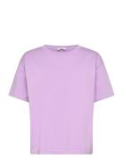 Fizvalley Purple American Vintage