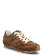 Tb.56 Suede Leather Sneakers Brown ALOHAS