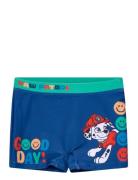 Swimwear Blue Paw Patrol