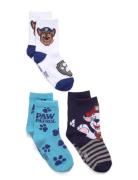 Socks Patterned Paw Patrol