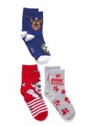 Socks Patterned Paw Patrol