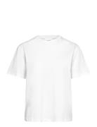 Basic O-Neck Tee S/S White Enkel Studio