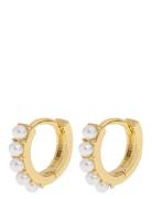 Essie - Pearl Hoop Earrings Gold Timi Of Sweden