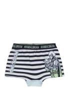 Boxer Blue Disney