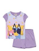 Pyjama Purple Bluey