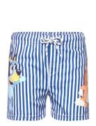 Swimwear Patterned Bluey