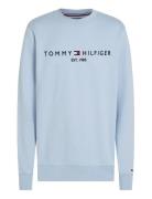 Tommy Logo Sweatshirt Blue Tommy Hilfiger