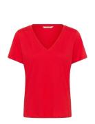 Crnaia Deep V-Neck T-Shirt Red Cream