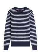 Essential Ssnl Cotton Crew Neck Navy Tommy Hilfiger