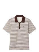 Ss Striped Ottoman Polo Brown Calvin Klein