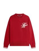 Chunky Cotton Crew Neck Red Tommy Hilfiger