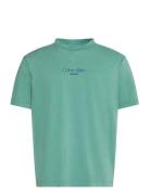 Ss 20S Acid Wash Graphic Crewnk Green Calvin Klein Jeans