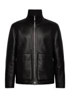 Erling Black Tiger Of Sweden