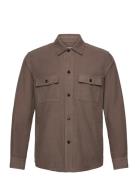 Bishop Brown Tiger Of Sweden