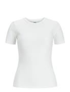 Jxfrankie Str Ss Rib Tee Jrs Noos White JJXX