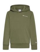 Hooded Sweatshirt Khaki Champion