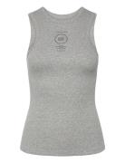 Cmsiv-To Grey Copenhagen Muse