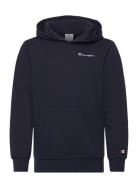 Hooded Sweatshirt Navy Champion