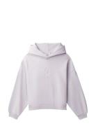 Ck Hooded Sweatshirt Purple Calvin Klein