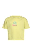 Daisyloose Season Yellow Roxy