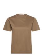 Siru Brown Tiger Of Sweden