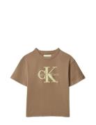 Mesh Applique Ss T-Shirt Brown Calvin Klein