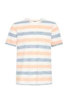 Bhjelani Tee Cream Blend