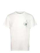 Sdrae White Solid