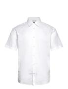 C-Roan-K-Sh-262 White BOSS