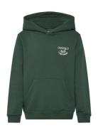 Jorniagara Typo Sweat Hood Jnr Green Jack & J S