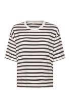 Fqprela-Tee Cream FREE/QUENT