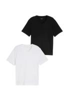 Double Pack V-Neck Tee Black Tom Tailor