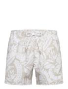 Piranha Patterned BOSS