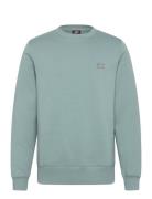 Oakport Sweatshirt Green Dickies