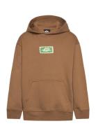 Graphic Hero Hoodie Youth Brown Quiksilver