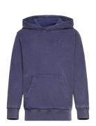 Hooded Sweatshirt Navy Champion