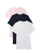 S/S Crew Neck 3Pk Patterned Calvin Klein