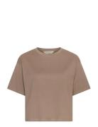 Mschleana Tee Beige MSCH Copenhagen