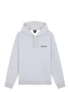 Payson Hoodie Grey Dickies