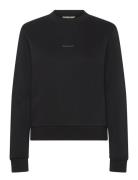 W Regular Crew Black HOLZWEILER