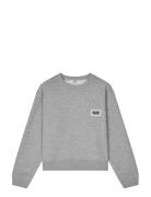 Standard Taylor Sweatshirt Grey Mads Nørgaard