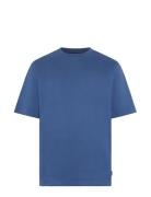 Eddysi + Blue SIGNAL