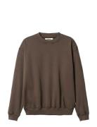 Wbdon Washed Crew Brown Woodbird