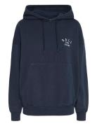 Basavona Hoodie Navy BALL