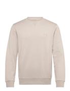 Westart Beige BOSS