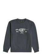 Running Dog Back Gr R Sw Grey G-Star