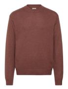 Sdhamandi Knit Brown Solid