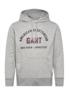 Printed Graphic Hoodie Grey GANT
