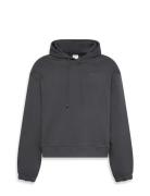 L/S Hoodie Grey Calvin Klein