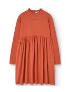 Fif Red Crab Dress Orange THE ANIMALS OBSERVATORY